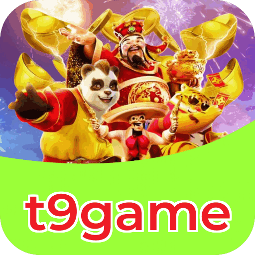 Interface t9game